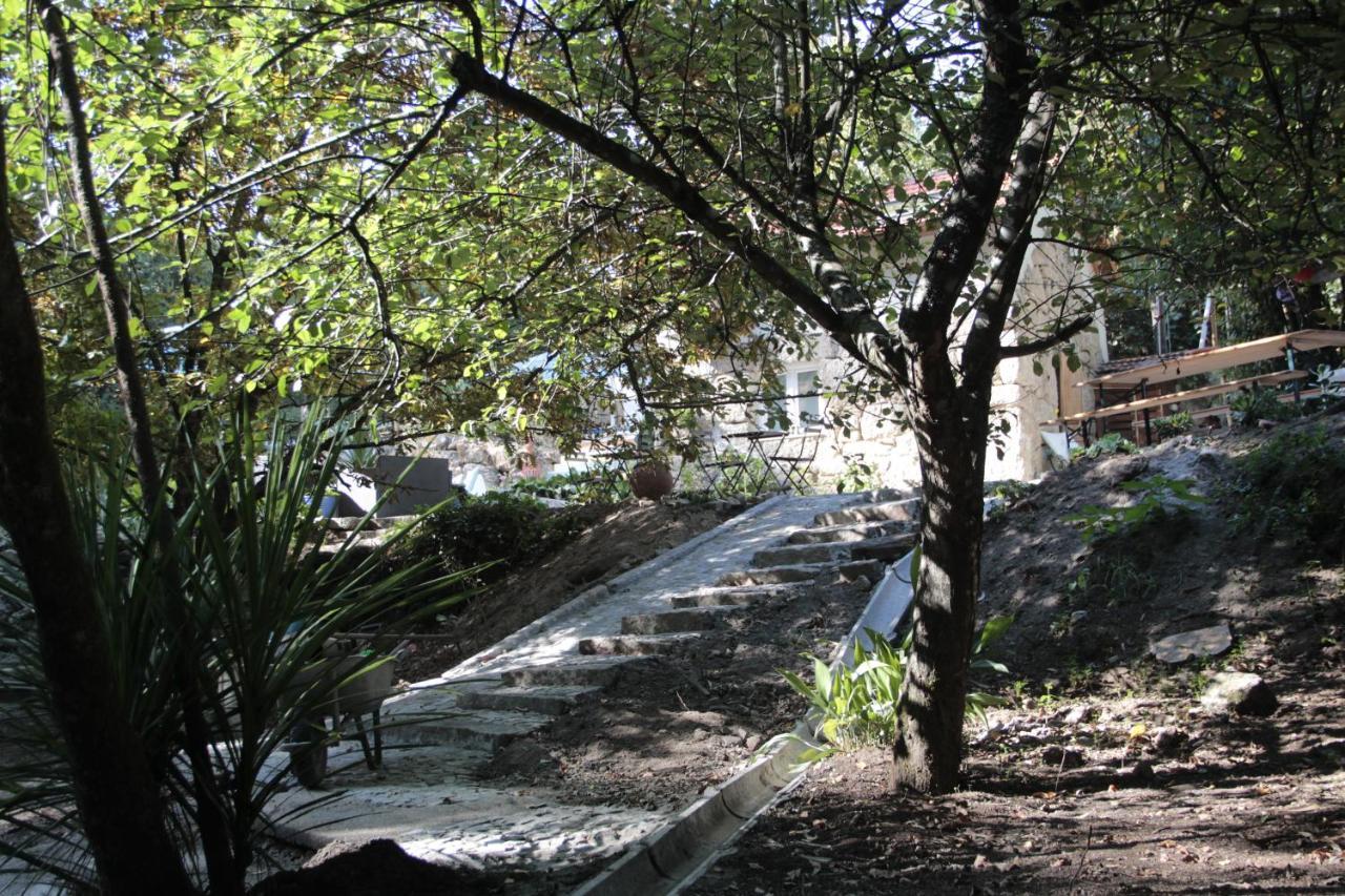 Villa Bosque Dos Amieiros Marco de Canavezes Exterior foto