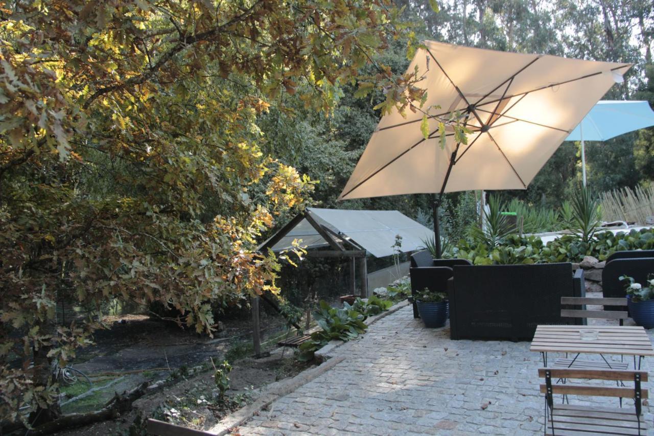 Villa Bosque Dos Amieiros Marco de Canavezes Exterior foto